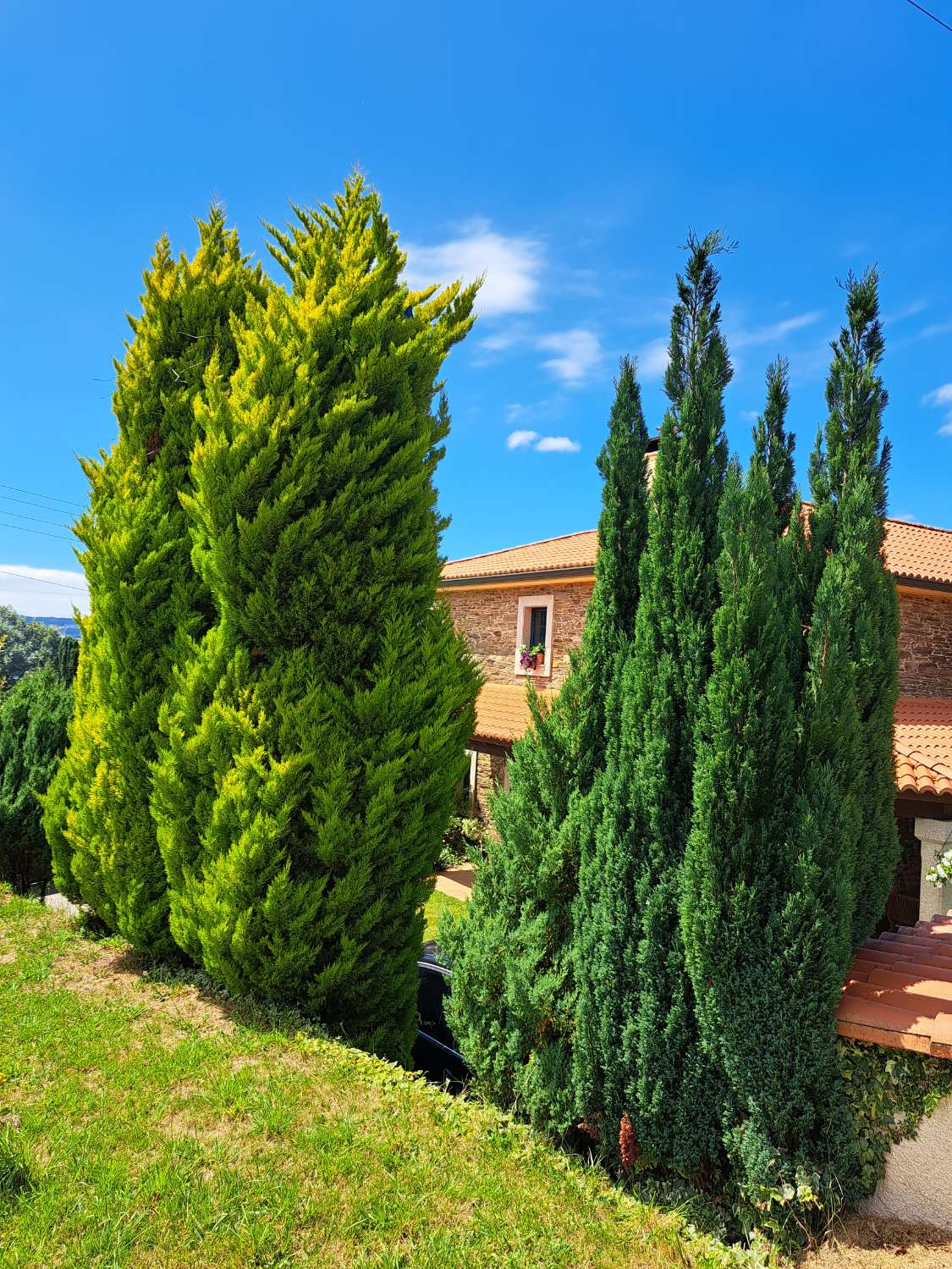 Magnifique maison à Fene !!