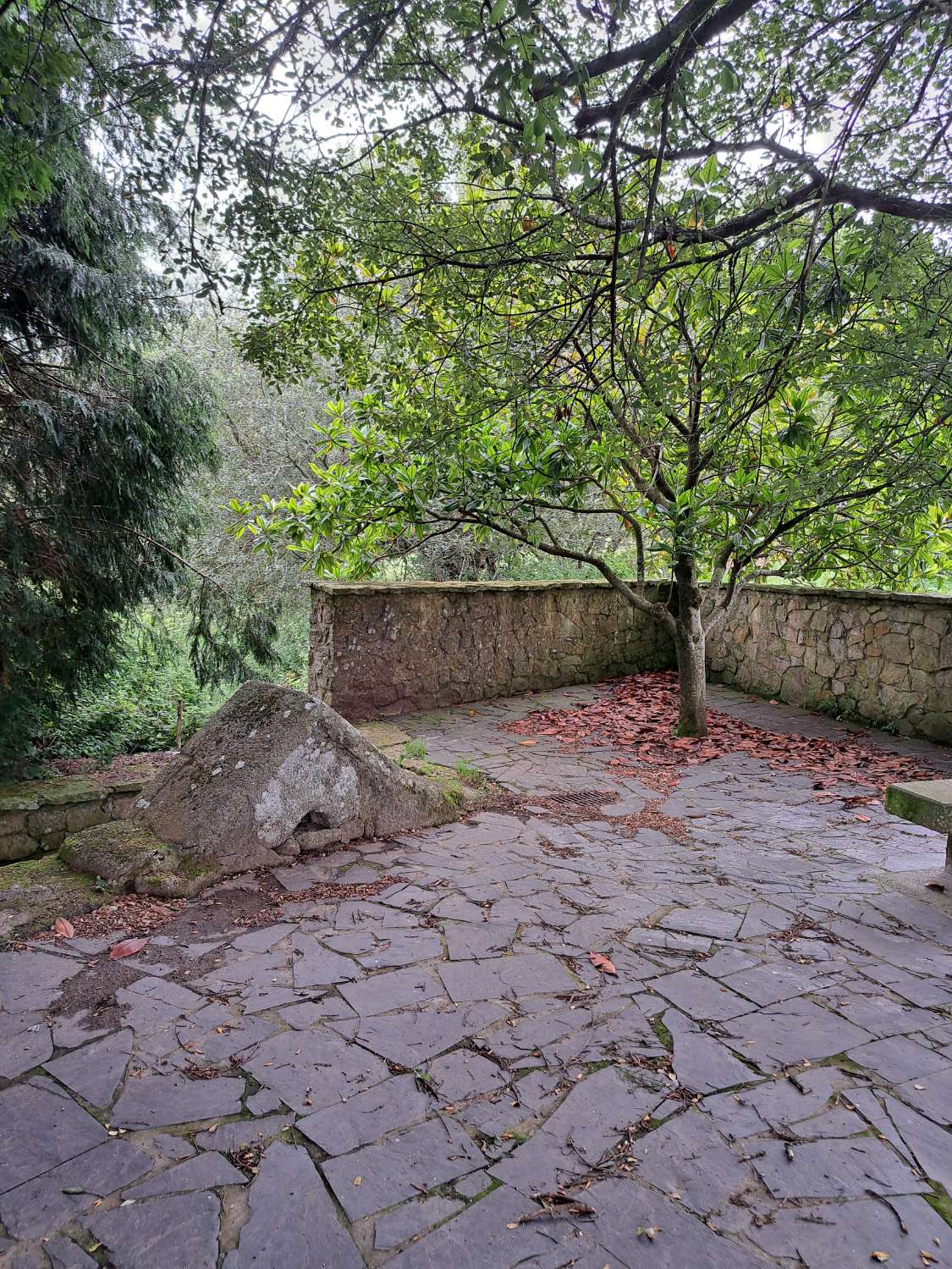 Wir haben diese prächtige Wohnung mit gewerblichem Erdgeschoss in As Neves, A Capela, zum Verkauf angeboten.