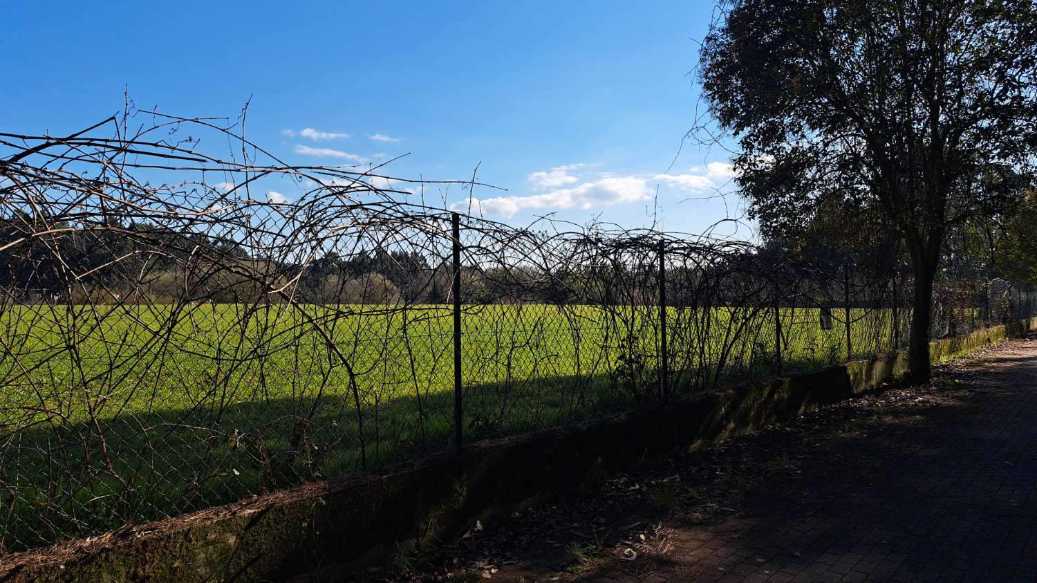 Building Site salgai in Miño