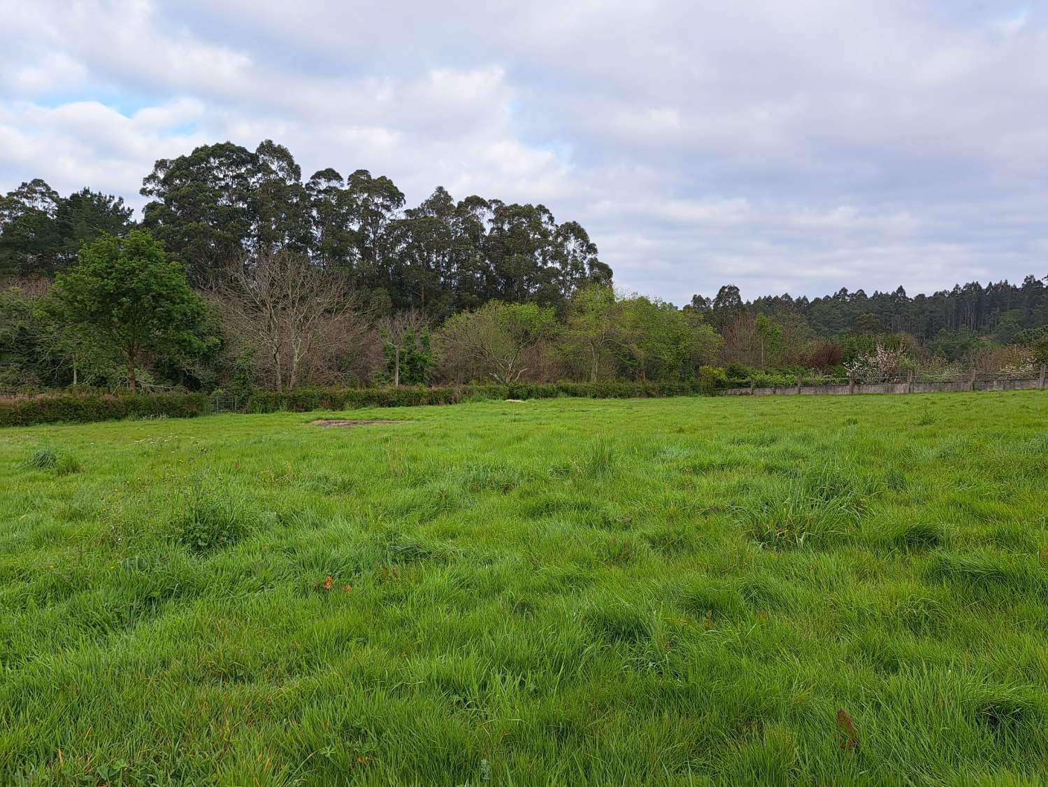 Urban land in Miño.