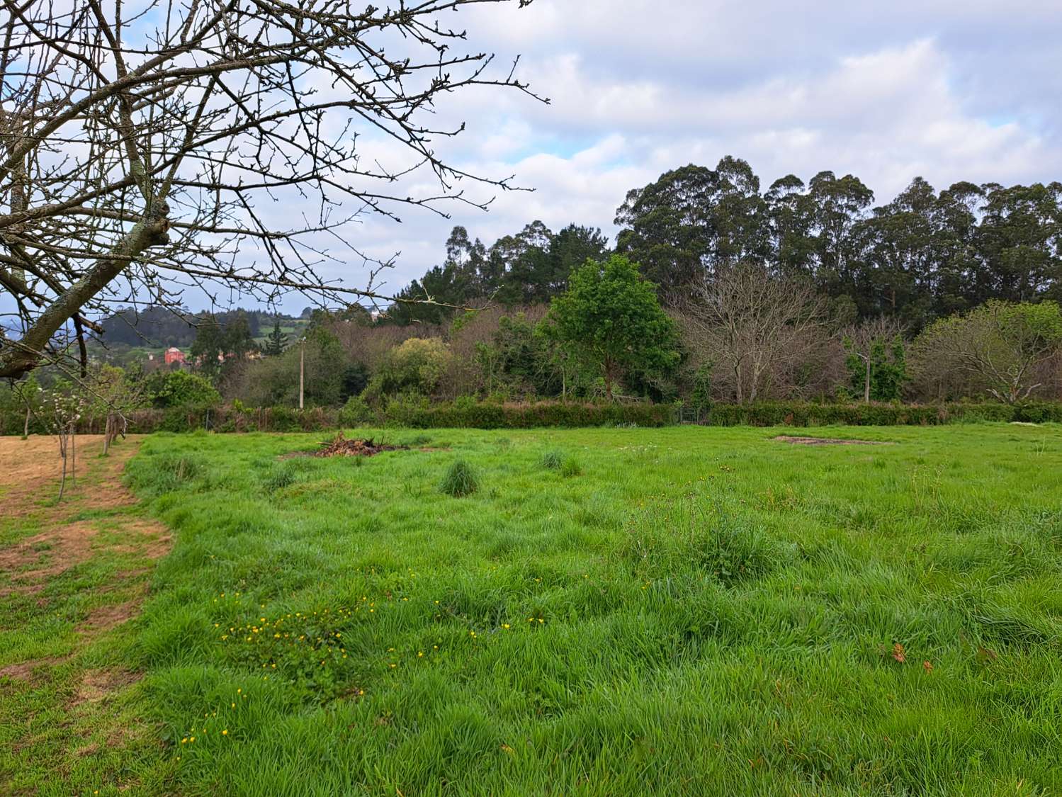 Stedelijk land in Miño.