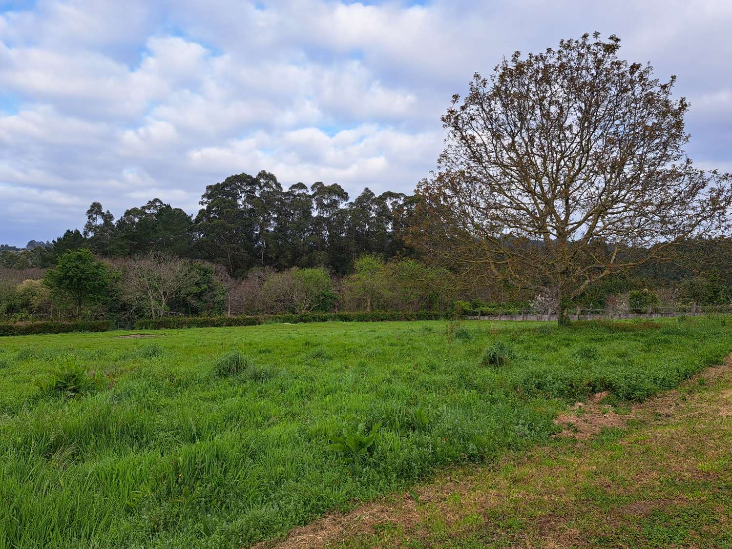 Stedelijk land in Miño.