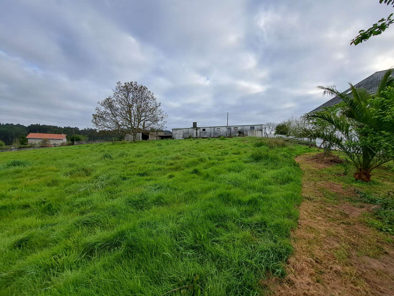 Urban land in Miño.