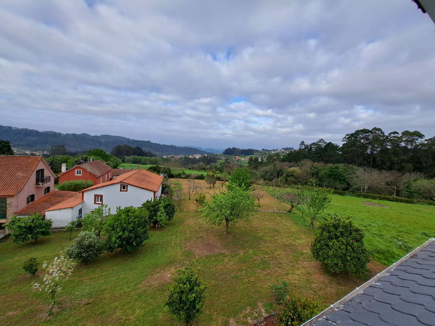 Building Site salgai in Miño