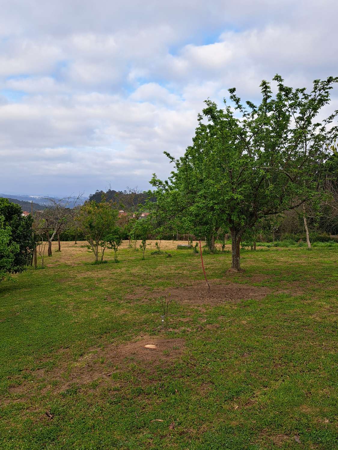 Terrain urbain à Miño.