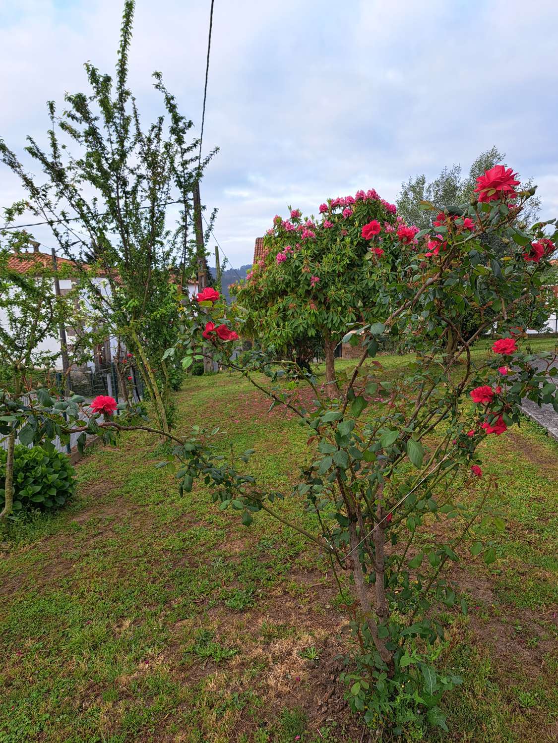 Txaleta salgai in Miño