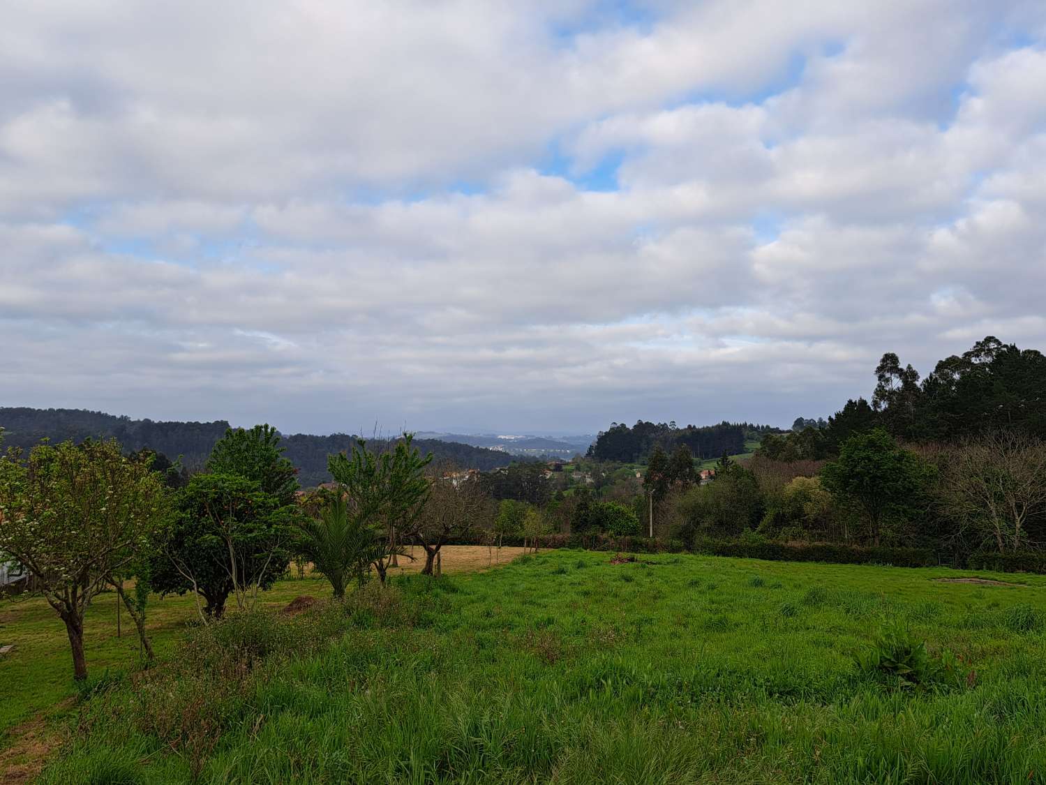 Maison avec propriété urbaine de 7 700 m.