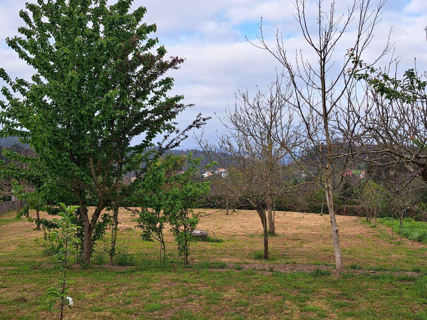 Maison avec propriété urbaine de 7 700 m.