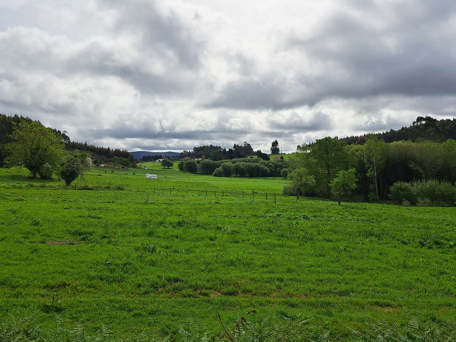 Nous vendons une maison à rénover.