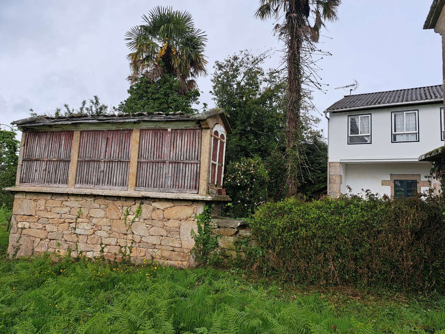 Vendemos casa para reformar.