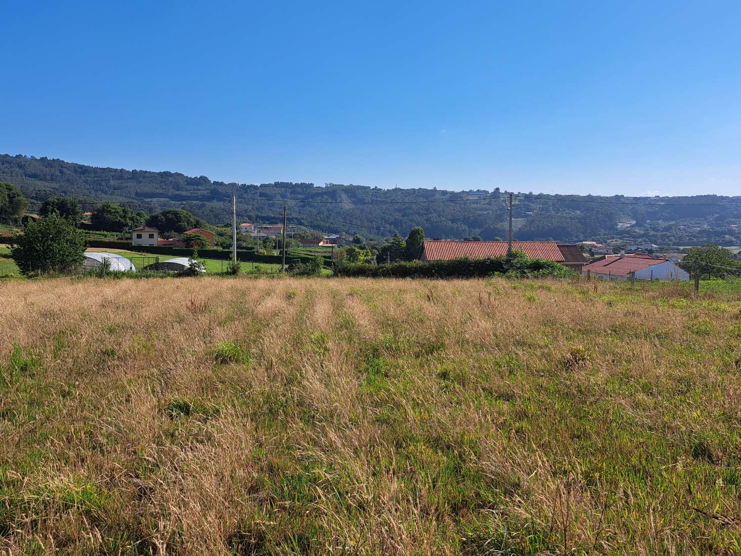 We reduced price!!! Urban land in Nogueirosa