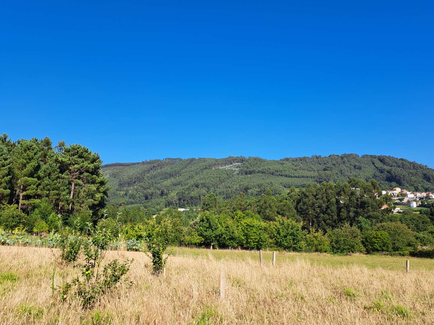 Building Site salgai in Pontedeume