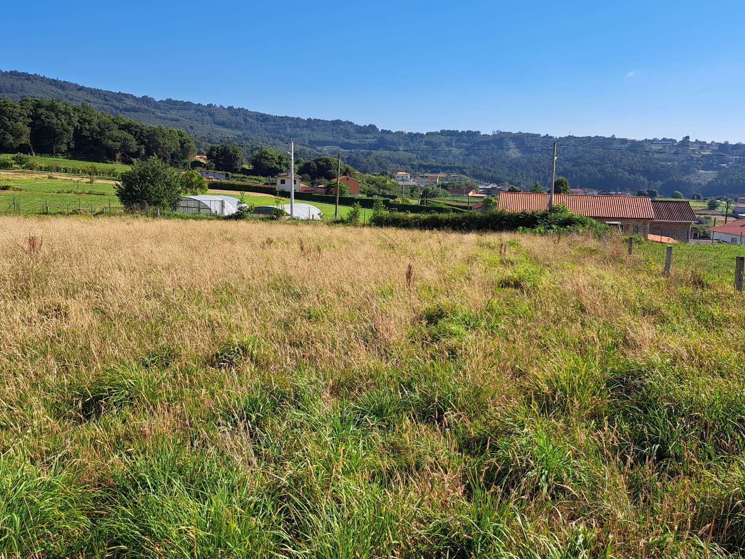 Abbiamo ridotto il prezzo!!! Terreno urbano a Nogueirosa