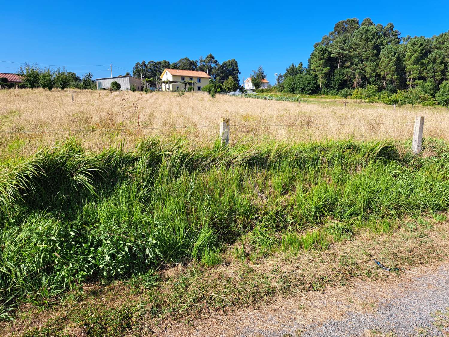 Abbiamo ridotto il prezzo!!! Terreno urbano a Nogueirosa