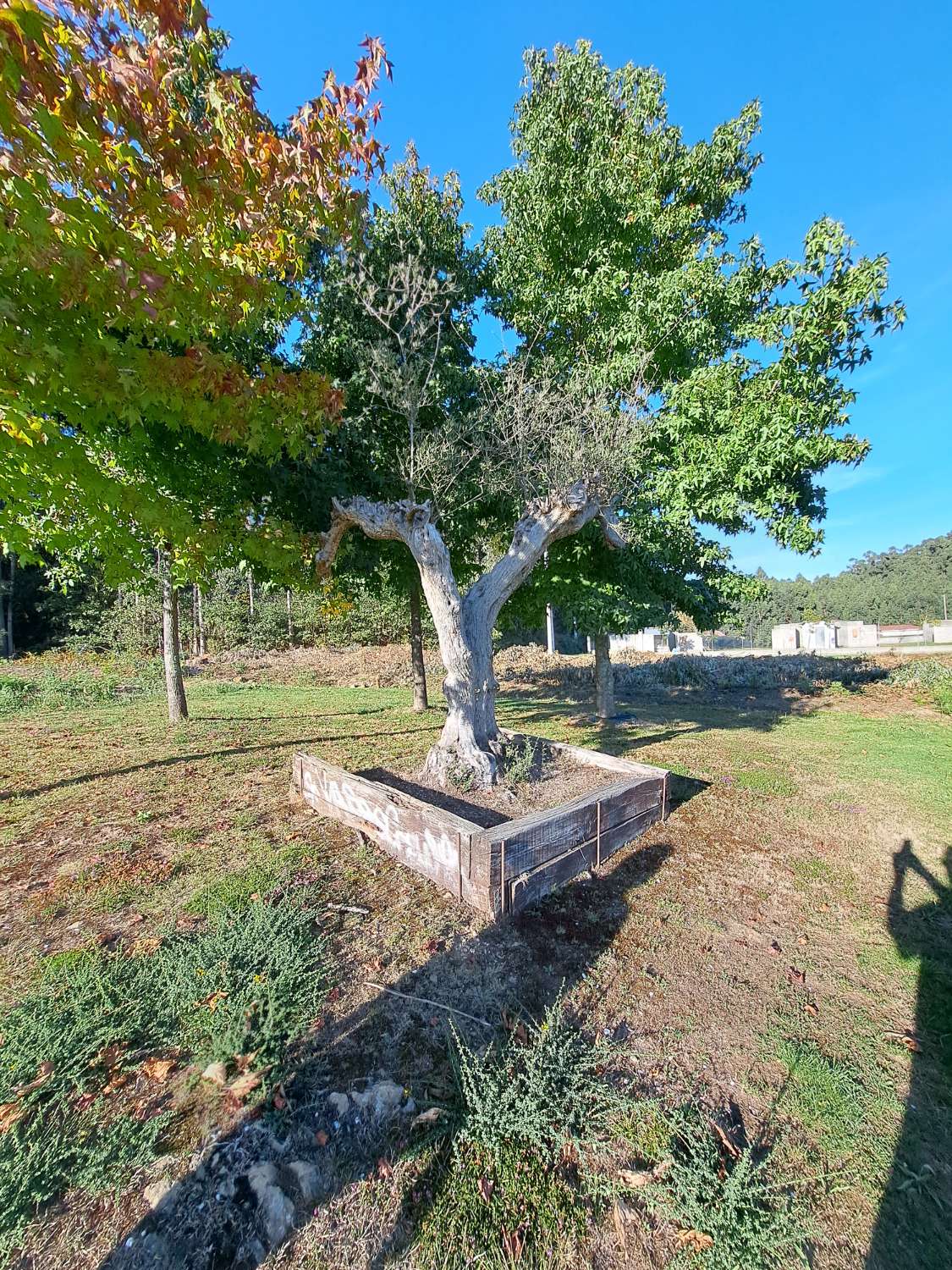 Casa per restaurar a Areas, Paderne.