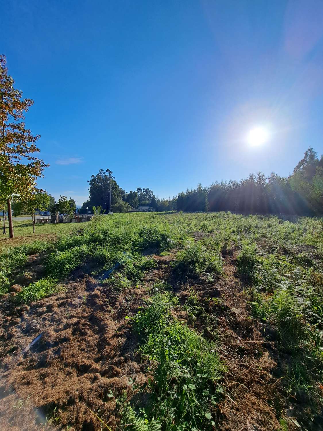 Hus til restaurering i Areas, Paderne.