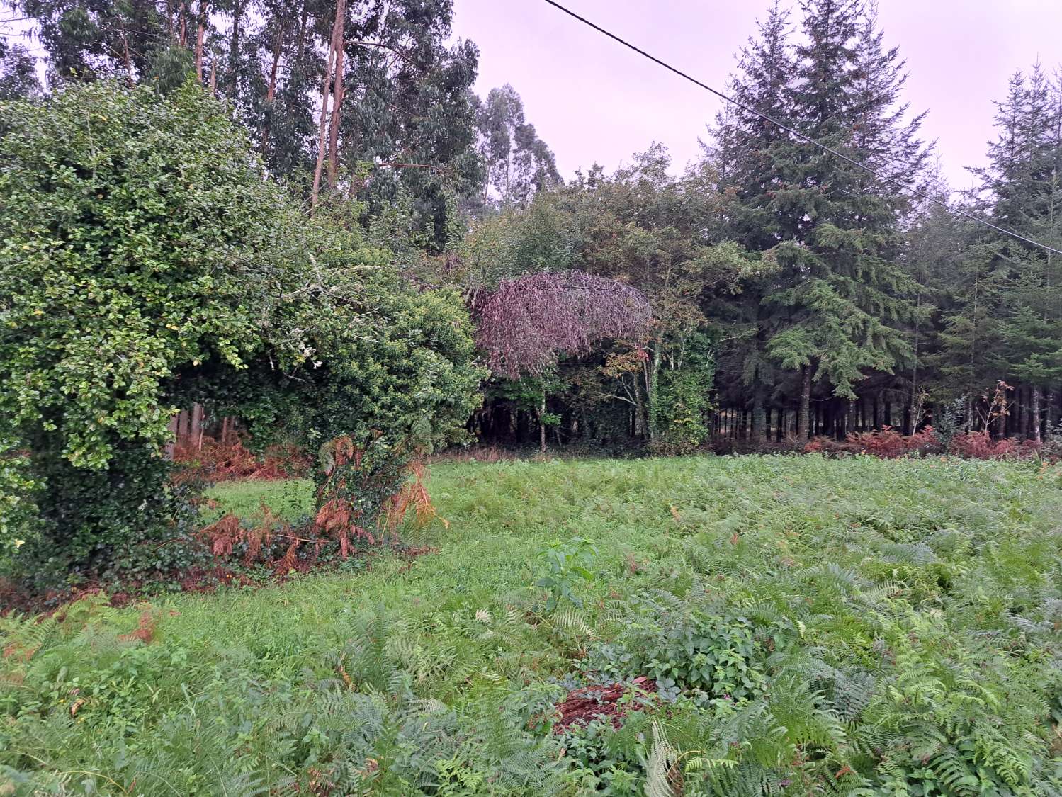 Vendiamo terreno urbano in Aree, Paderne