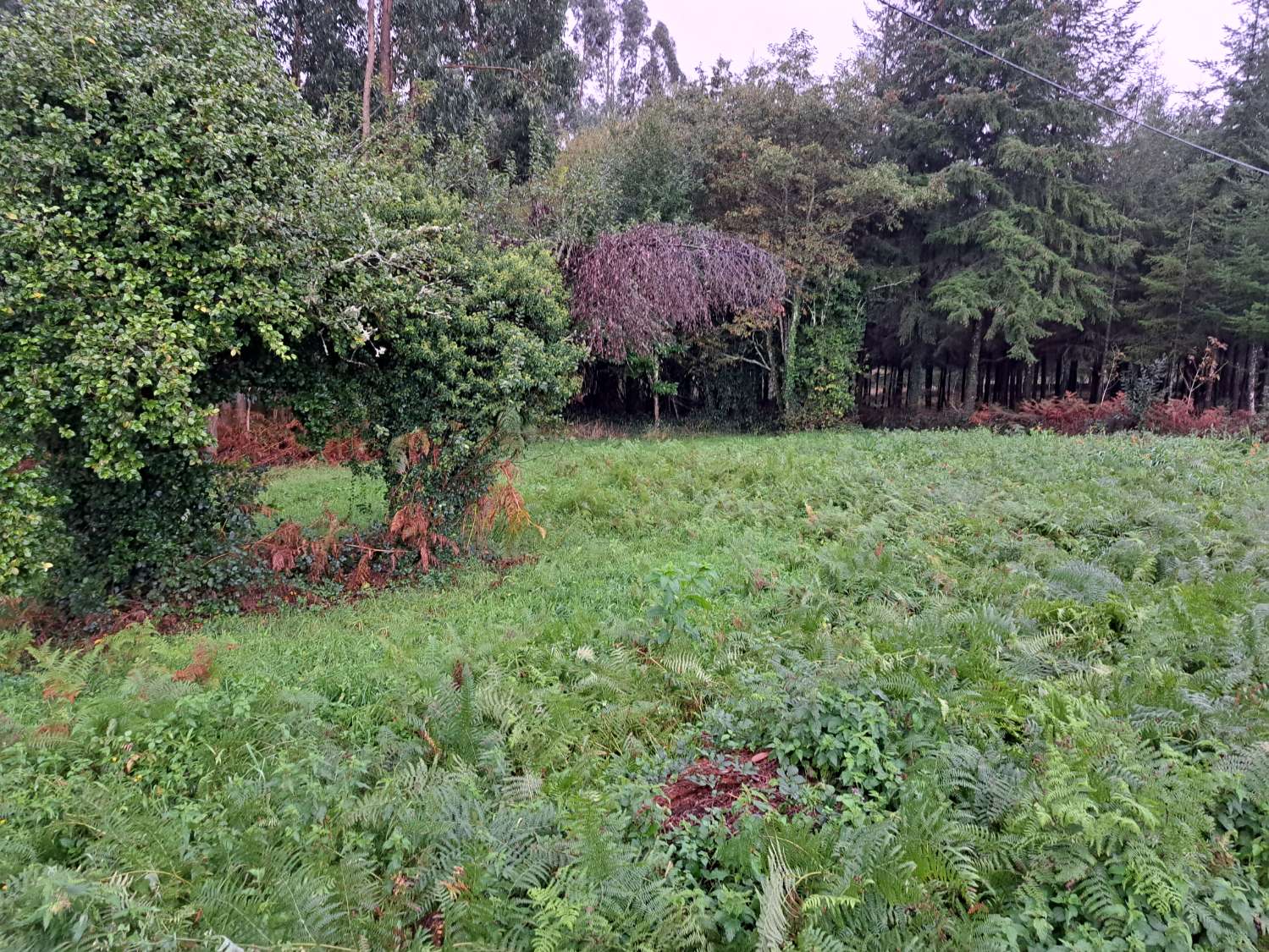 Vendiamo terreno urbano in Aree, Paderne