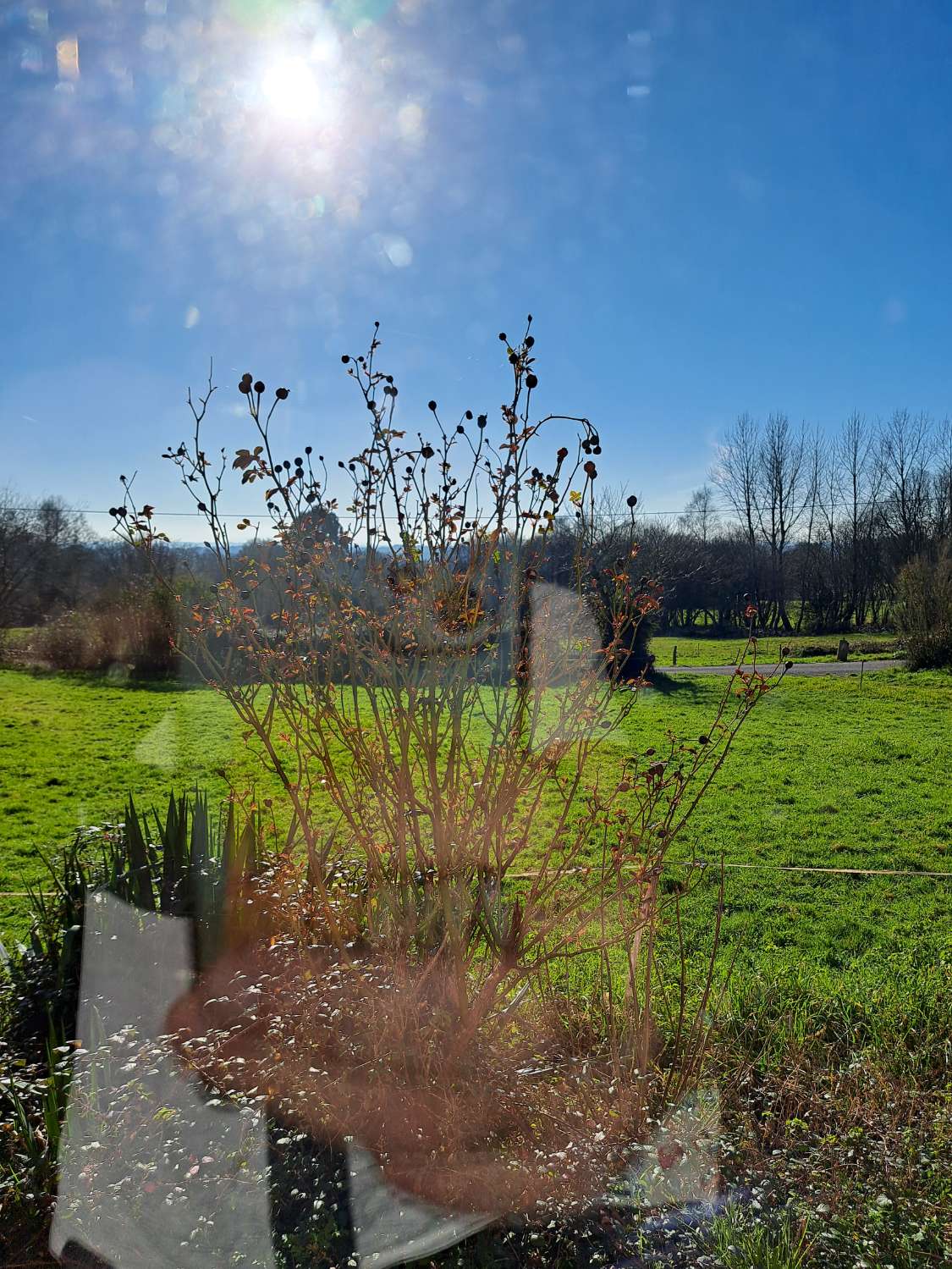 Vi sælger hus og grund i Corbelle, Vilalba.