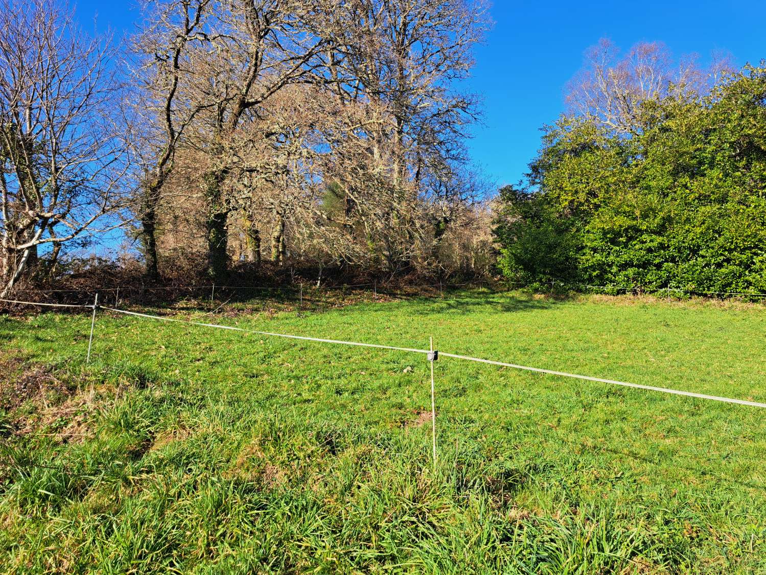 Nous vendons une maison et un terrain à Corbelle, Vilalba.