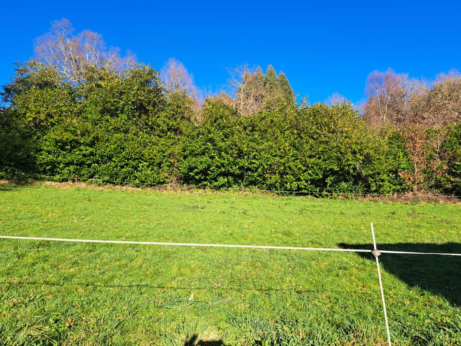 Nous vendons une maison et un terrain à Corbelle, Vilalba.