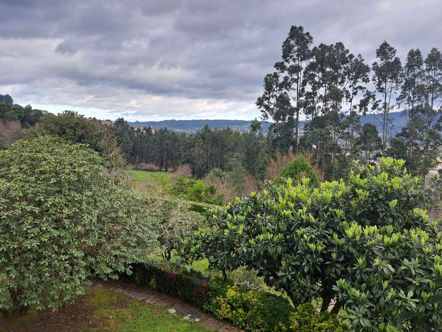 Venem casa a Pontedeume