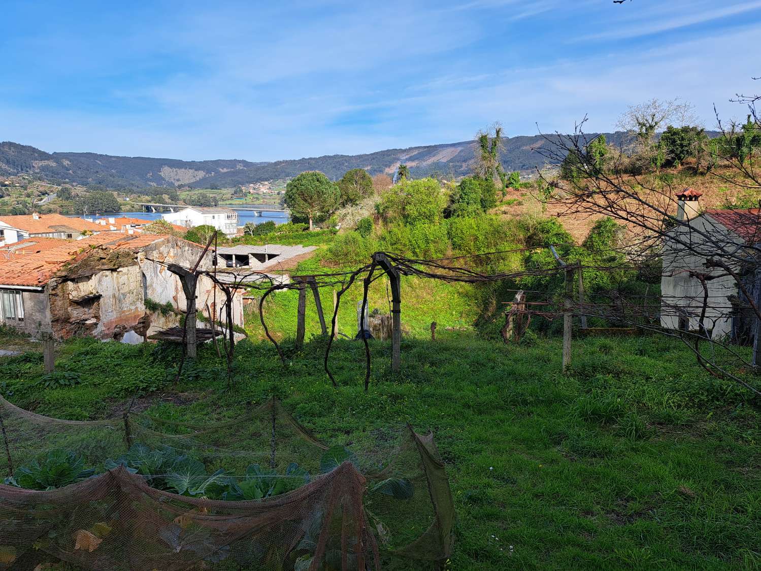 Vendemos solar urbano en Pontedeume.