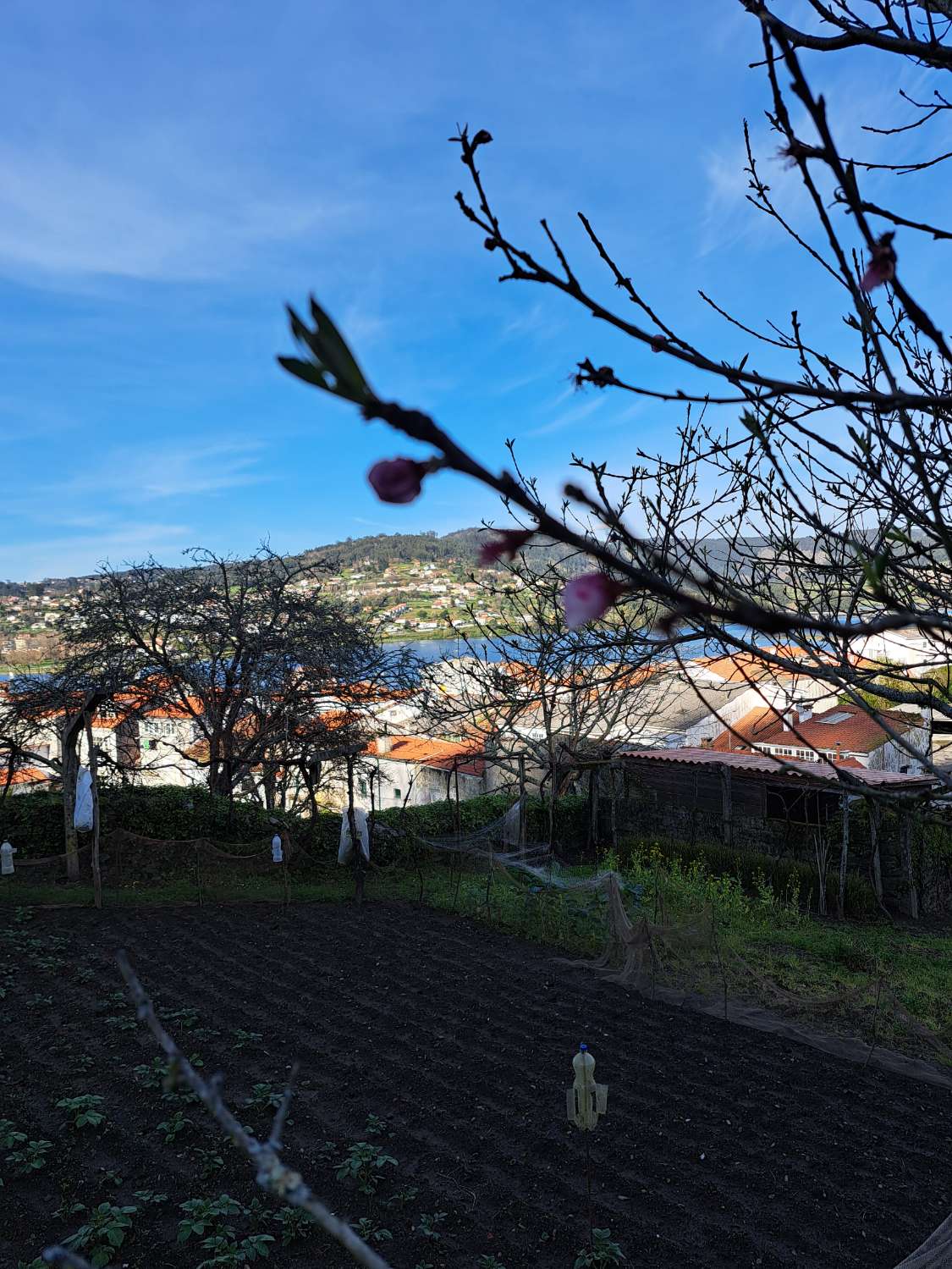 Vi sælger bygrund i Pontedeume.