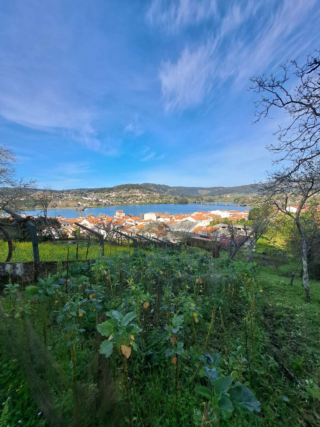 Vendemos solar urbano en Pontedeume.