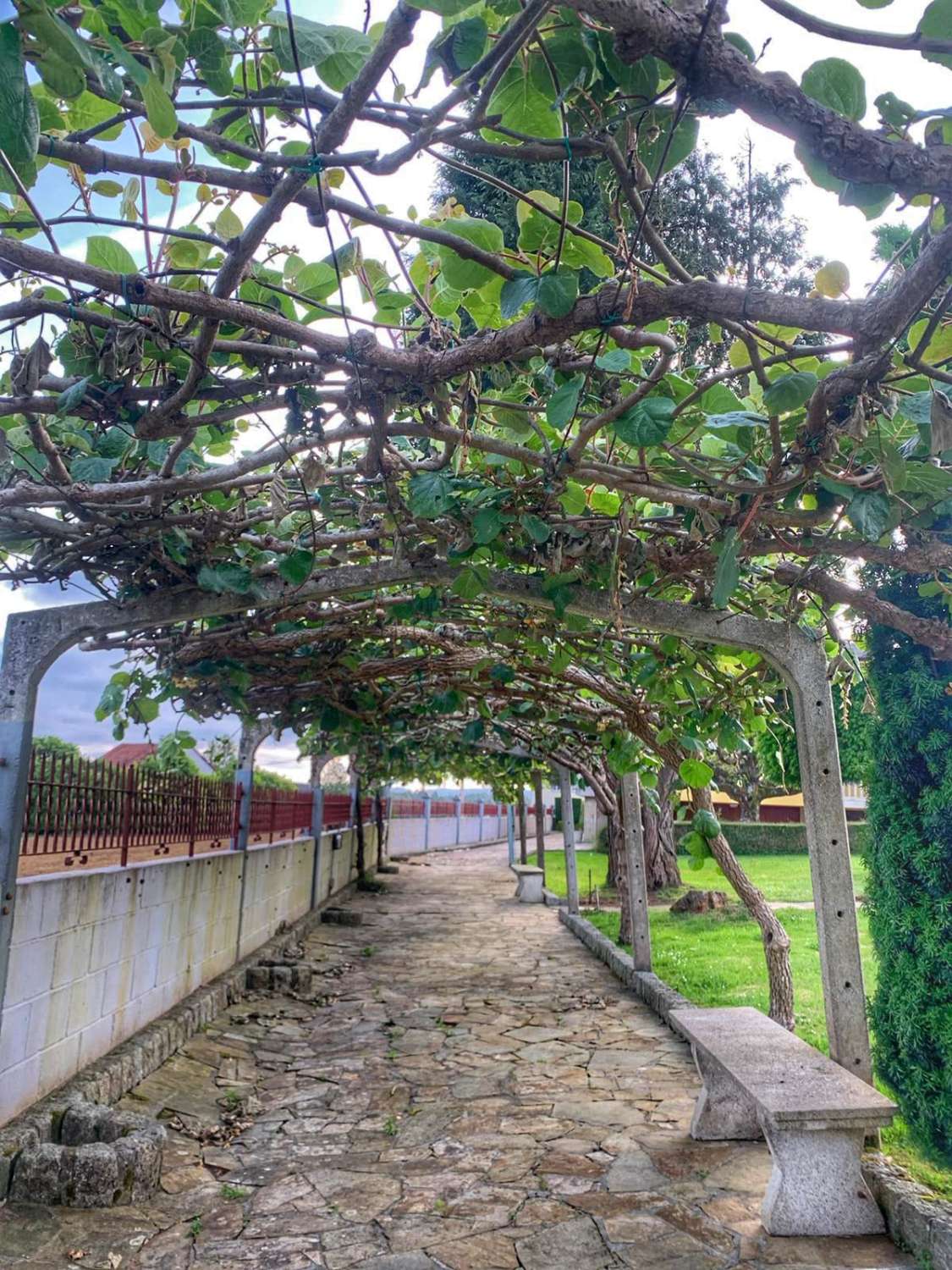 Esclusivo! Vendiamo una casa a Sedes, Narón